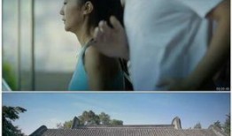 各种爆料生活百态视频大全,短视频中的真实世界全景